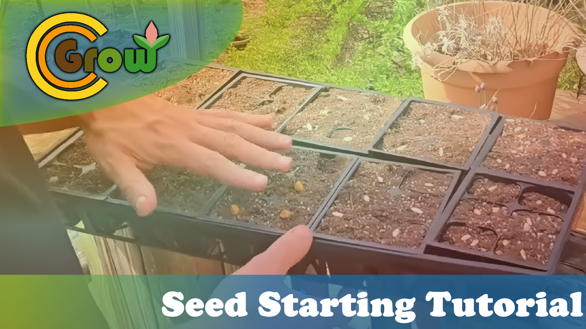 April 20: Starting Melon and Cucumber Seeds in Trays