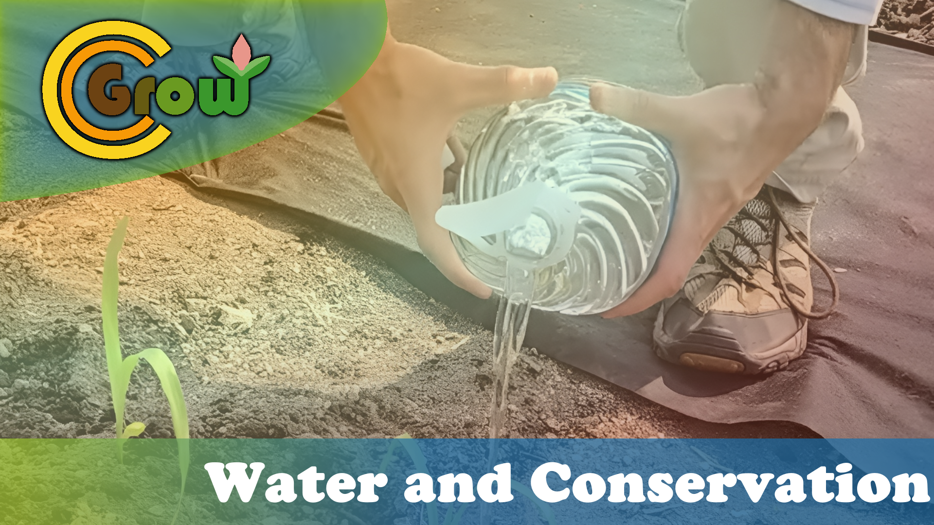 May 20: Watering Tips and Conservation
